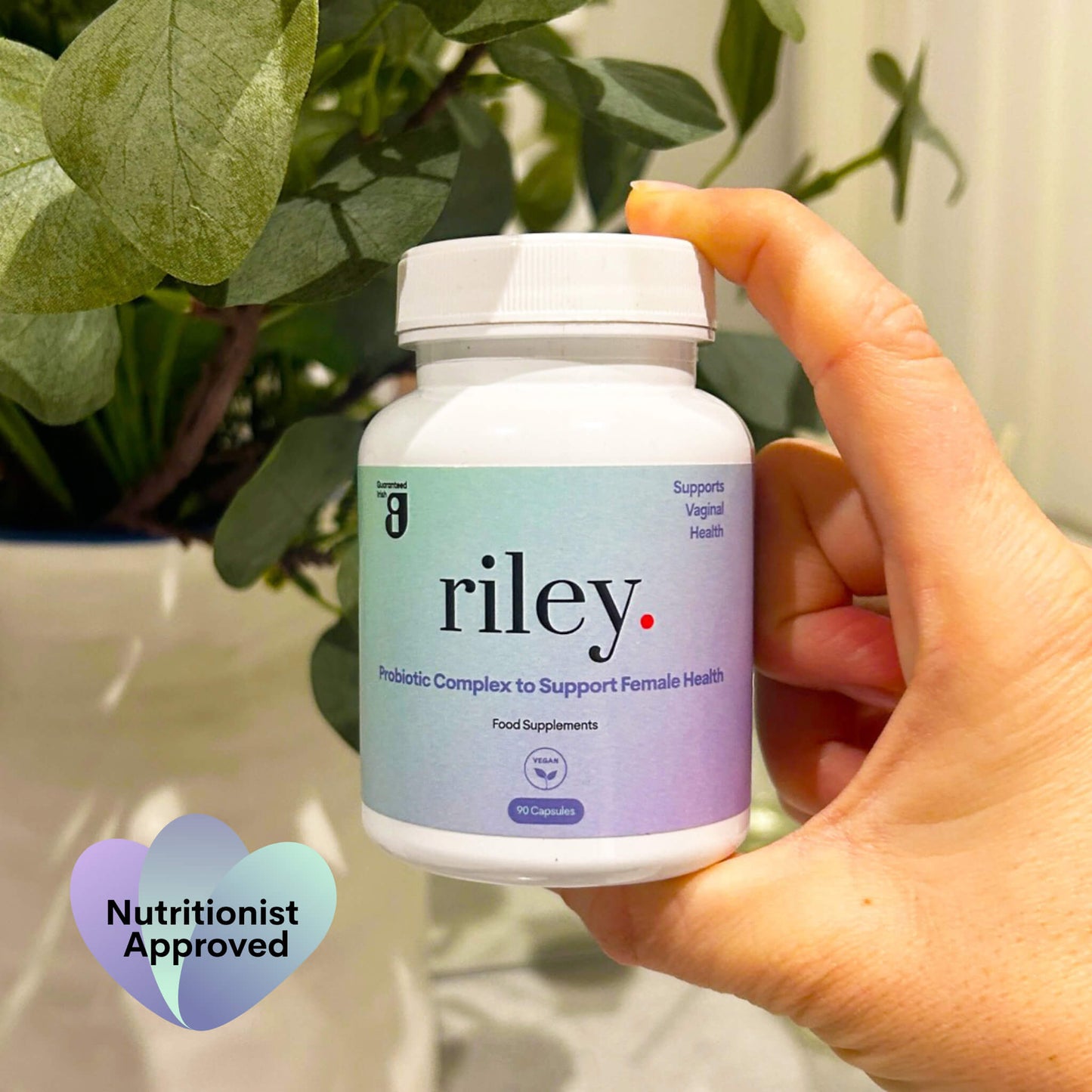 Daily Probiotic Supplement