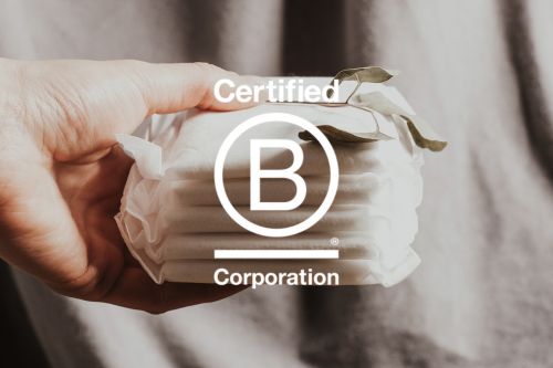 It's official, Riley is now a Certified B Corp 🌱