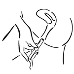 Position & Insert