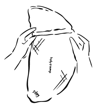 A minimalist black line drawing on a white background showing a hand holding a soft, rounded product form with small handwritten labels near the center and bottom.